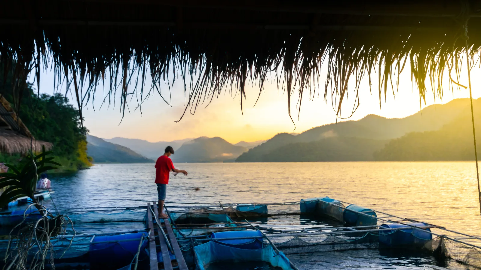 Cara pilih feed yang betul untuk ikan